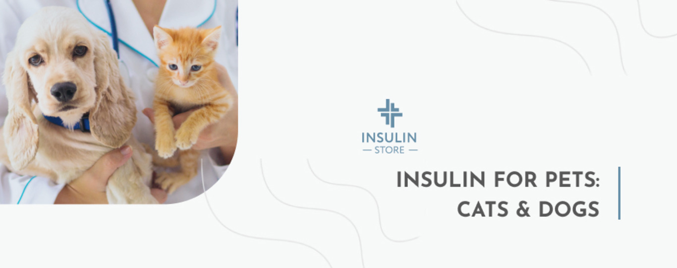 Insulin for Pets: Cats and Dogs